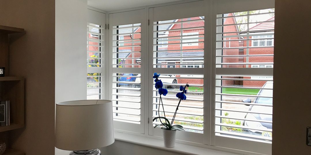 22344614_1528661567201730_12785112617844736_n