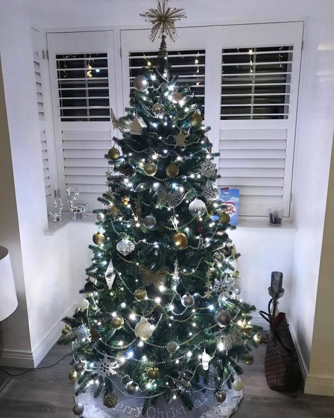 24838375_136242323818748_8503640426916347904_n